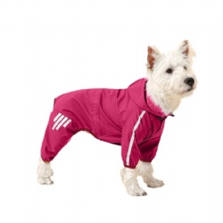 Dog trend night reflective jacket