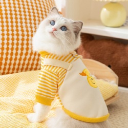 Cat cat autumn and winter cute strap clothes