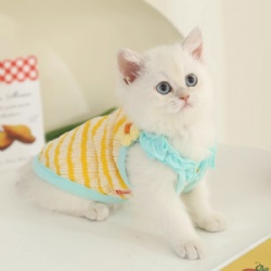 Cat spring and summer thin vest clothes